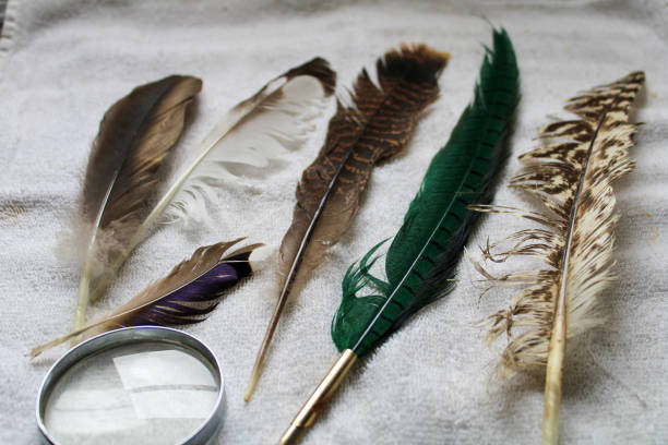 istock Feathers laid out on a towel 1394800862