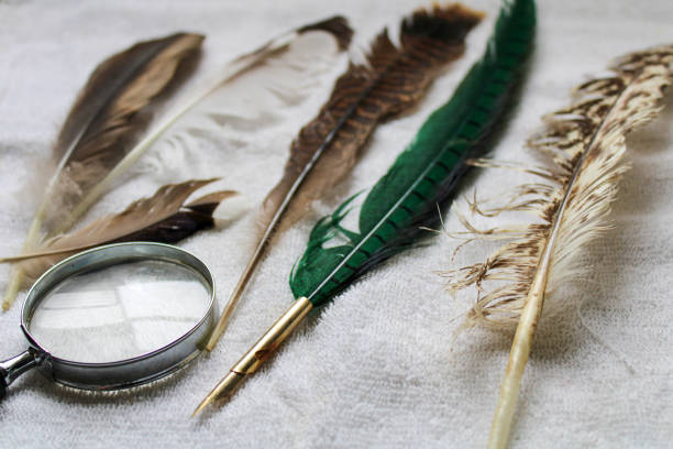 istock Feathers laid out on a towel 1394800891