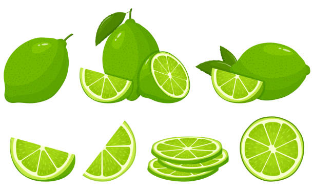 Set of fresh whole, half, cut slice lime fruits isolated on white background. Summer fruits for healthy lifestyle. Organic fruit. Cartoon style. Vector illustration for any design. Set of fresh whole, half, cut slice lime fruits isolated on white background. Summer fruits for healthy lifestyle. Organic fruit. Cartoon style. Vector illustration for any design. lime stock illustrations