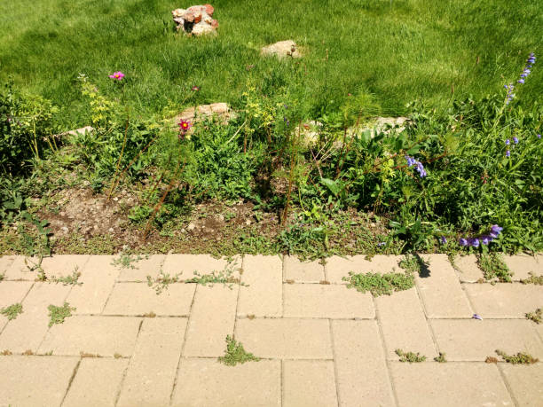 istock garden paver walkway path brick stone sidewalk verge lawn backyard cobblestone grass 1394802179