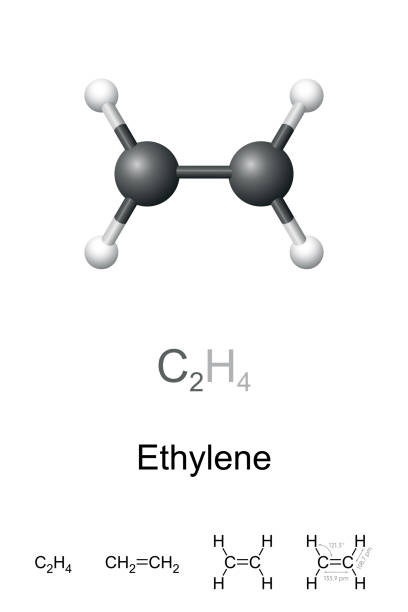 ilustraciones, imágenes clip art, dibujos animados e iconos de stock de etileno, eteno, modelo de bola y palo, fórmula molecular y química - hydrogen bond