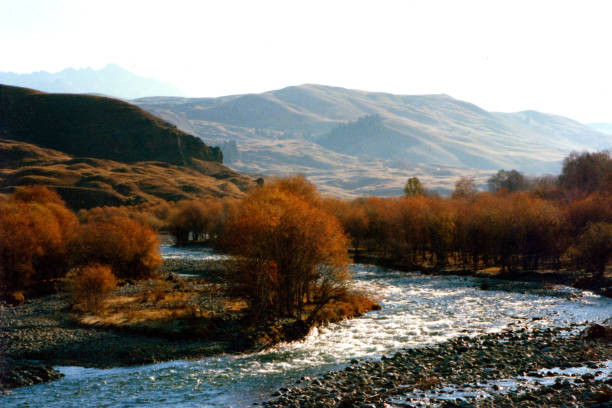 istock Autumn, stream in Kongnaiz forest zone, Xinjiang 1394804861