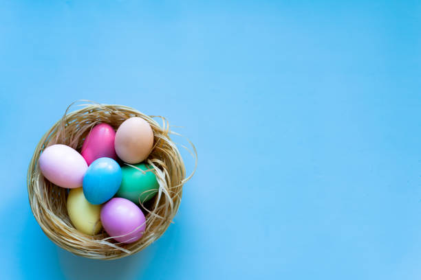 istock Nest of coloured Easter eggs on blue background 1394809320