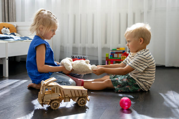 kids are fighting over a toy. conflict between sister and brother. sibling relationships stock photo