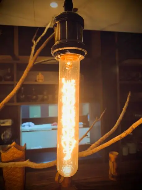 Photo of Filament Incandescent Light