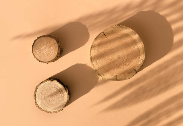 istock Three woodcut disks lying on a trendy beige background with flower shadows 1394813924