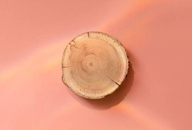 istock Woodcut lying on a trendy pink background 1394813979