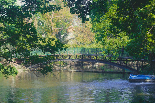 A hanging bridge in a public park over pond. Landscape view during sunset.