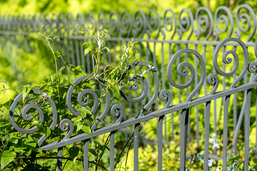 a solid wire fence encloses the garden. the welded wire meshes are strong and can be inserted between the prisms of the bars. the posts are concreted into the concrete slab fence, meadow, panel,