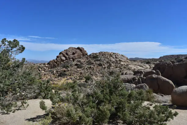 Rugged jagged rock formations in the Mojave Desert.