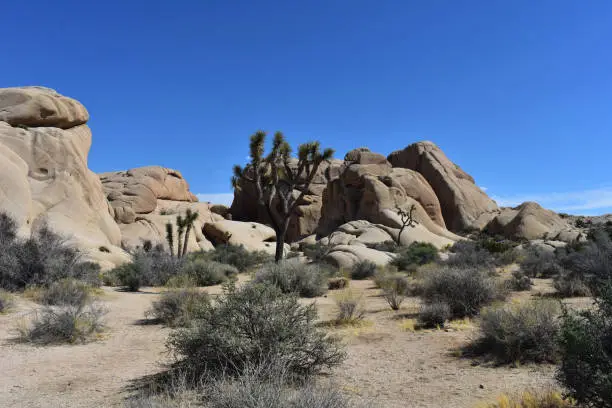 Rural Mojave desert barren landscape in California.