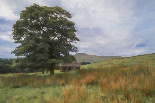 Digital painting of a small abandoned hut can be seen through the branches of a Sycamore tree in the Peak District National park. Shutlingsloe can be seen in the distance.