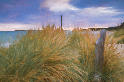 Digital painting of the sunset, sand dunes and dead trees with Llanddwyn island in the distance, Anglesely, North Wales