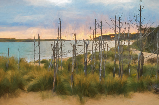 Digital painting of the sunset, sand dunes and dead trees with Llanddwyn island in the distance, Anglesely, North Wales