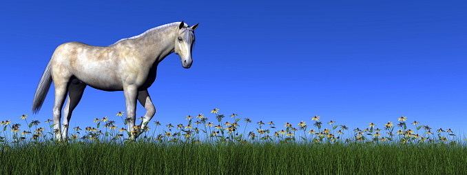 White horse standing quietly in a meadow with flowers by day - 3D render