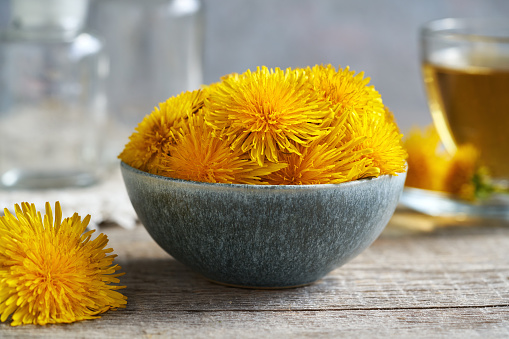 Fresh dandelion flowers in a blue bowl on a table, with a cup of herbal tea in the background