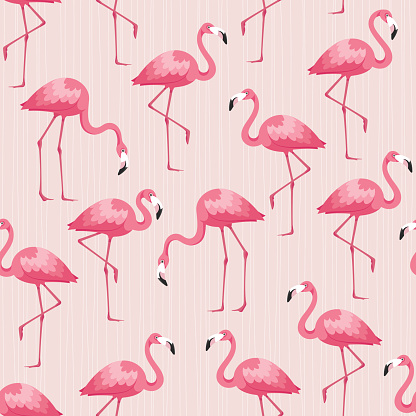 Flamingo seamless pattern. Tropical pattern.