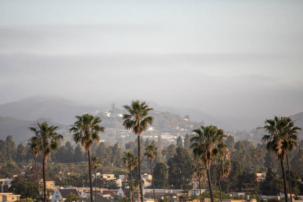 샌타모니카, 캘리포니아 - santa monica pier city of los angeles los angeles county aerial view 뉴스 사진 이미지