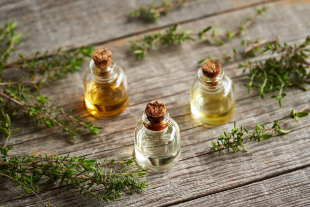 istock Bottles of aromatherapy essential oil with fresh thyme 1394823750