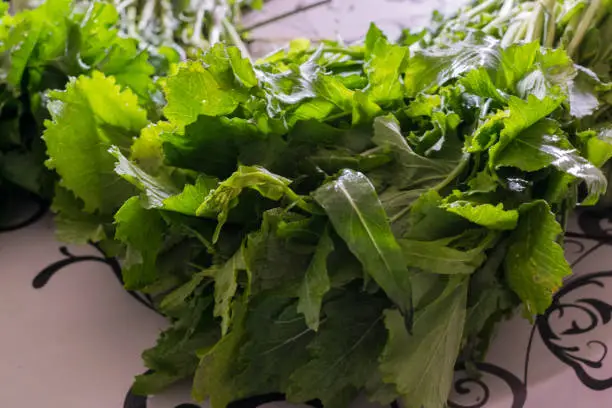 Photo of Bunch of fresh green turnip greens