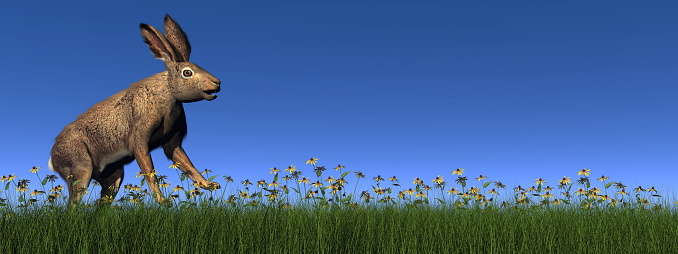Hare running on green grass with flowers by day - 3D render