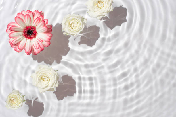 istock Sunny summer cosmetic background with flowers. 1394828294