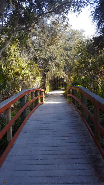 istock Neighborhood Bridge 1394829055