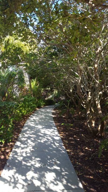 istock Neighborhood Walk 1394831912