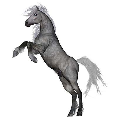White horse rearing isolated in white background - 3D render