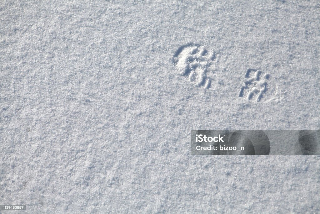 Footprint in snow A single footprint on a snow surface Backgrounds Stock Photo