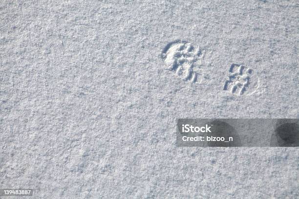 Footprint In Snow Stock Photo - Download Image Now - Backgrounds, Blue, Boot