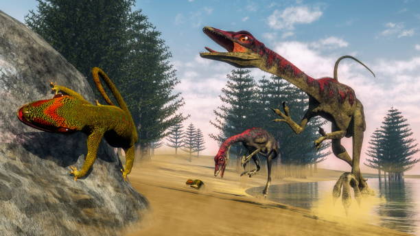 Compsognathus dinosaurs - 3D render Compsognathus dinosaur hunting a gecko in a lagoon with calamite trees by day - 3D render carnivora stock pictures, royalty-free photos & images