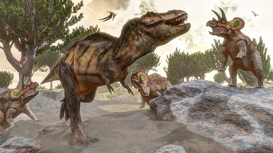 Tyrannosaurus rex escaping from three triceratops attack next to aristata pine by day  - 3D render