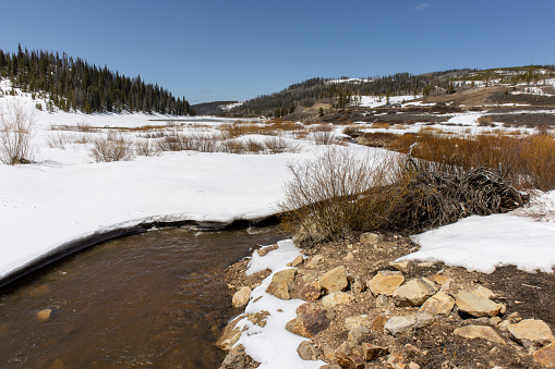A brown river flows through a snow covered landscape snowy river bank in State Forest State Park in the Rocky Mountains of Colorado