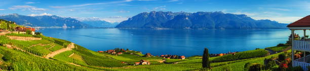 Panorama on Lavaux region, Vaud, Switzerland stock photo
