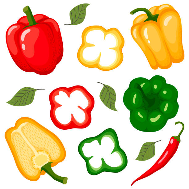 고추 세트 - yellow bell pepper stock illustrations