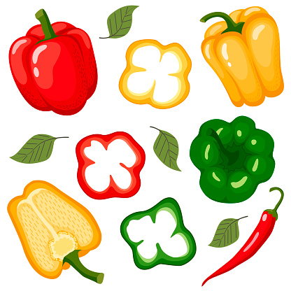 Set of red, yellow, green peppers with whole vegetables, half, slices and leaves. Vector illustration in a flat style on a white background.