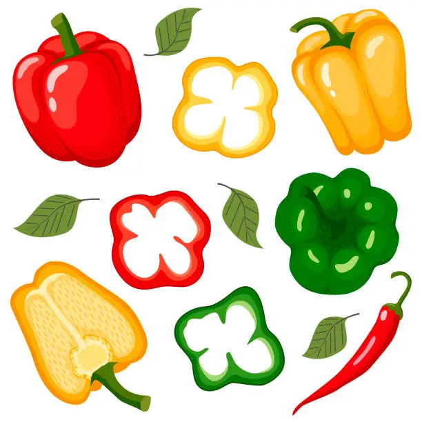 Vector illustration of peppers set