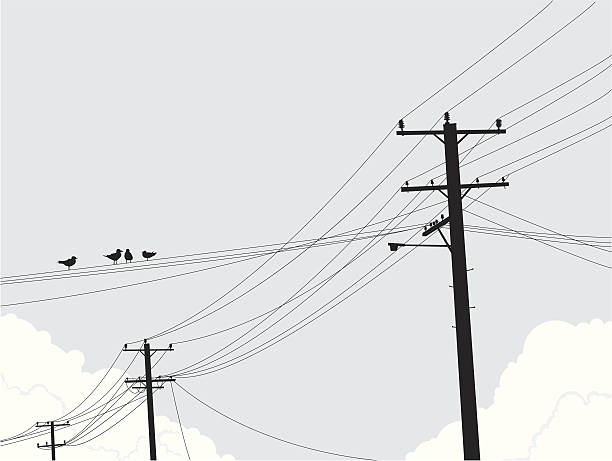 Birds on Powerlines Four birds on a powerline. electricity silhouettes stock illustrations