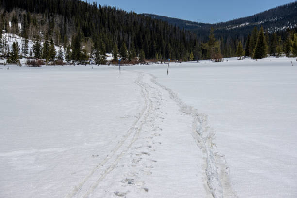 istock Cross country skiers have left a path in pristine white snow 1394842565