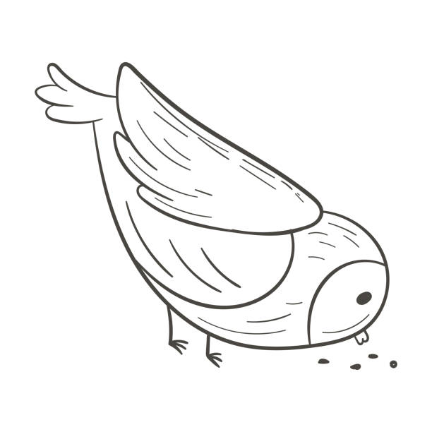 wektorowa ilustracja doodle przedstawiająca uroczego ptaka dziobiącego ziarno izolowane na białym. - happiness white background eating flying stock illustrations