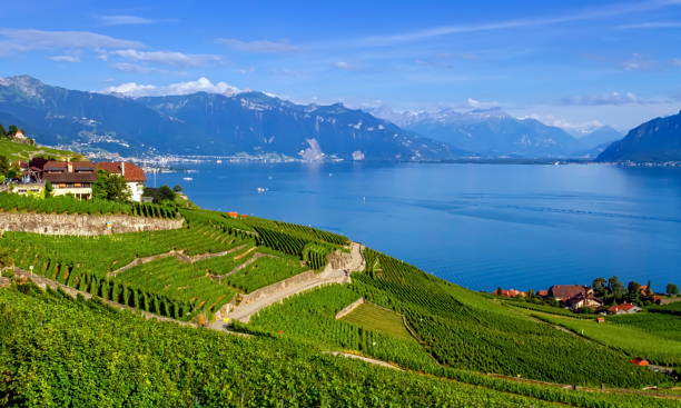 istock Lavaux region, Vaud, Switzerland 1394843898