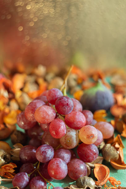 Pink grapes and fig blurred focus. Autumn composition, beautiful glowing bokeh on a blurred background of water drops. Shallow depth of field.The artistic intend and the filters. Film style old lens