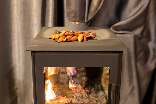 Roasted pinions on the wood burning stove. Pine nuts from Araucaria angustifolia, South American pine tree.