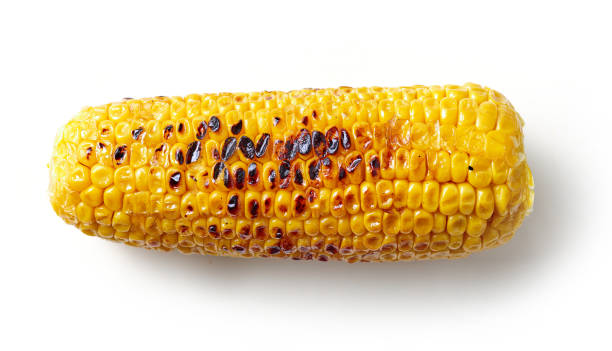 kukurydza cukrowa z grilla - grilled corn vegetable corn on the cob zdjęcia i obrazy z banku zdjęć