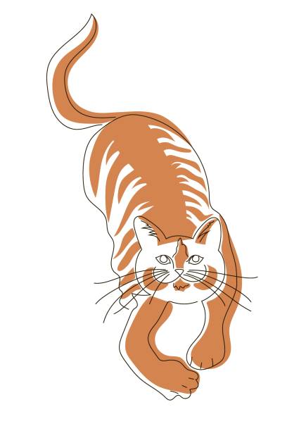 ilustrações, clipart, desenhos animados e ícones de mentiras engraçadas de gato vermelho, vai atacar. uma ilustração vetorial estilo linha isolada em fundo branco - illustration and painting vector sketch doodle