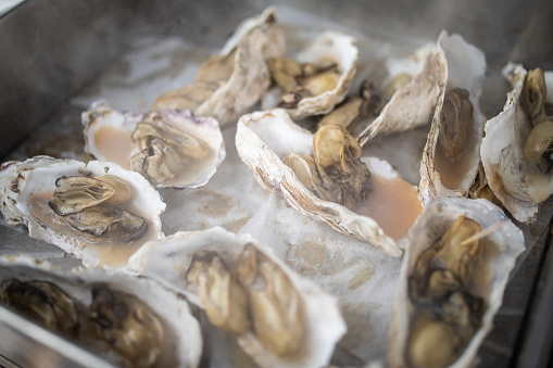Fresh Oysters in their shell cooking in water and broth at a street food market in Japan.