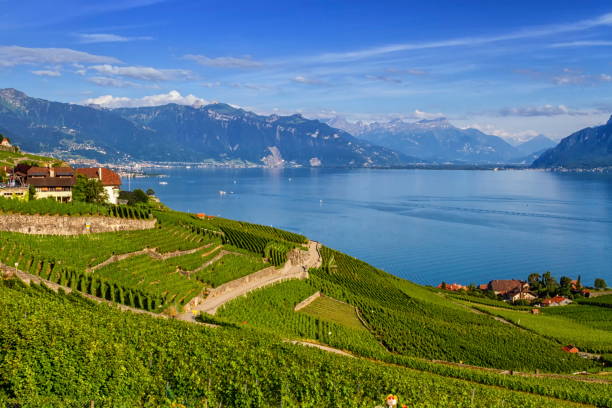 istock Lavaux region, Vaud, HDR 1394849098