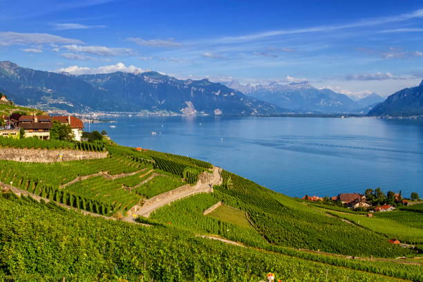 Lavaux region, Vaud, HDR Lavaux region by day in Vaud, Switzerland, HDR montreux photos stock pictures, royalty-free photos & images