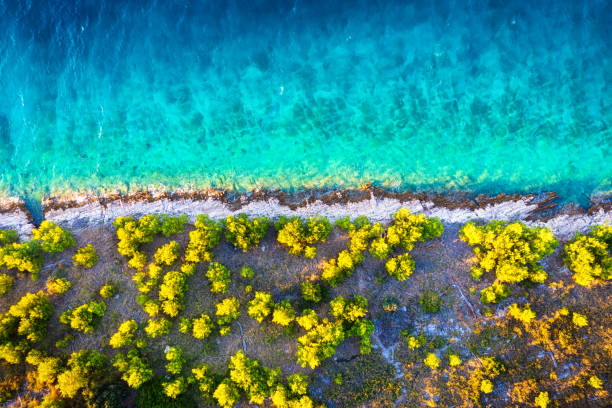 istock Coast with rocks as a background from top view. Blue water background from top view. Summer seascape from air. 1394851485
